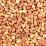 resim